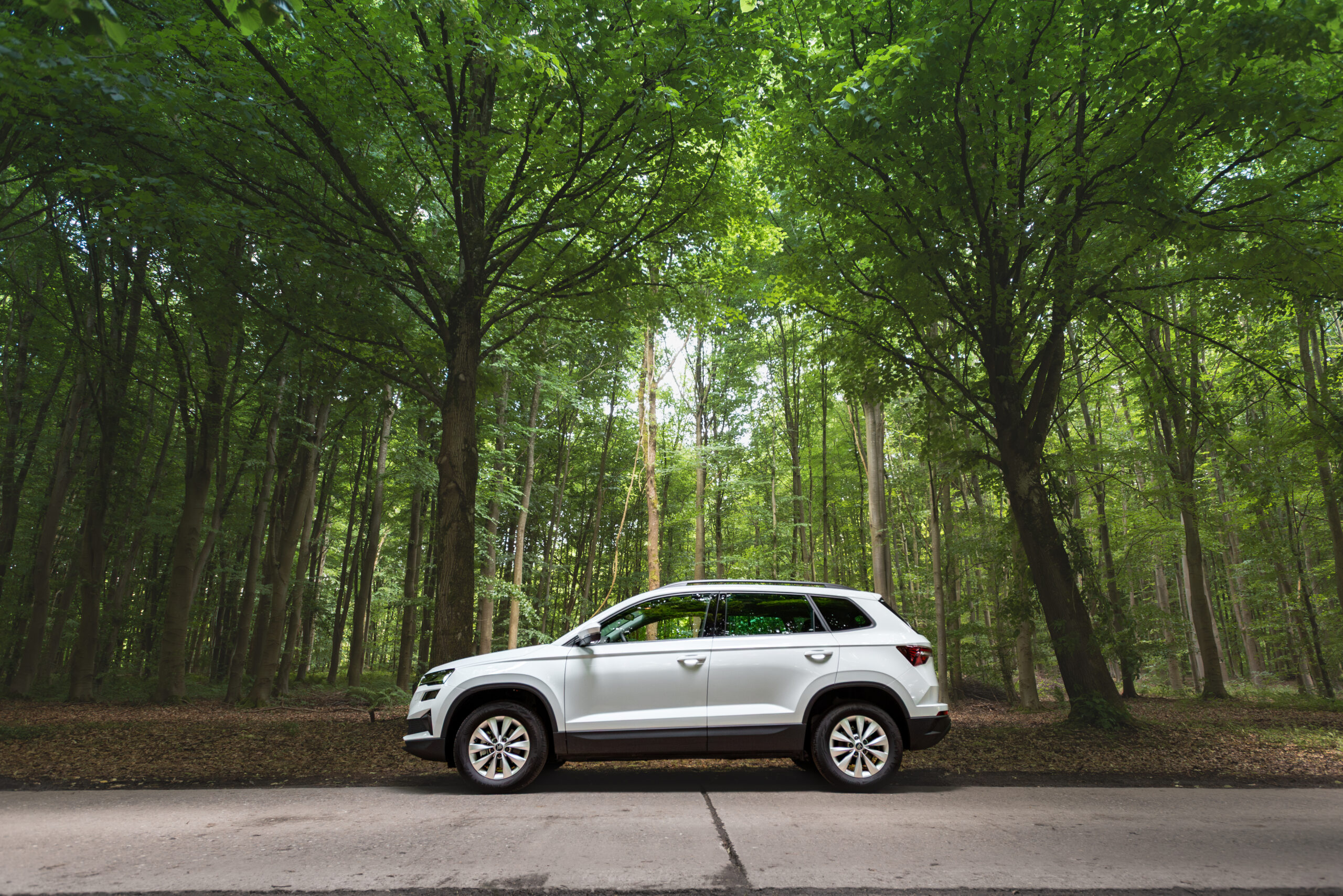 Vue de profil d'un SUV Skoda Kamiq blanc, à l'arrêt sur une route en lisière d'une forêt dense et verdoyante